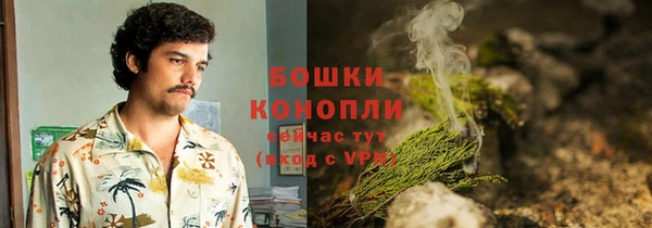 прущие грибы Нефтегорск