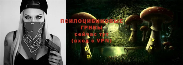 прущие грибы Нефтегорск