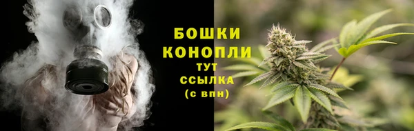 Альфа ПВП Нея