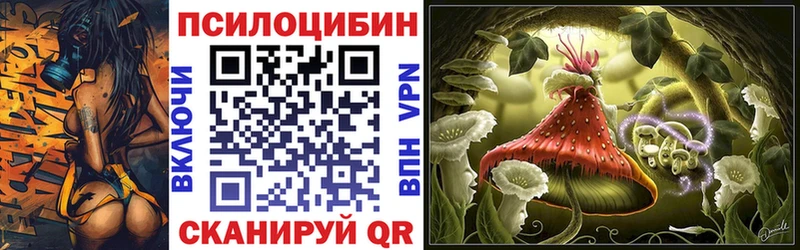 Псилоцибиновые грибы Psilocybe  Серов 