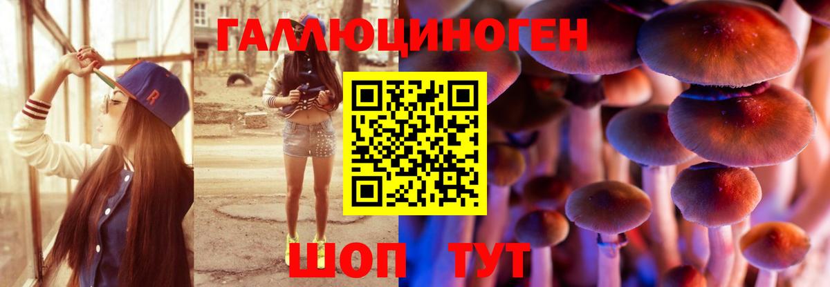 Галлюциногенные грибы Psilocybine cubensis  Псилоцибиновые грибы мухоморы  Серов  хочу наркоту  Вход с VPN 